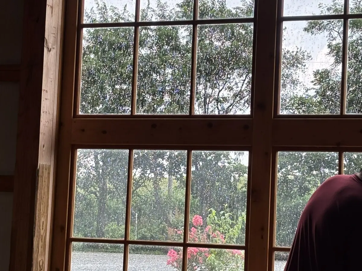 Interior of a timber-framed venue looking out through clean multi-pane windows